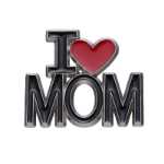 패션 장식 브로치의 그림