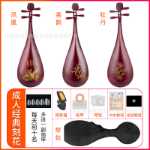 어린이 마호가니 비파 악기의 그림