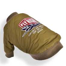 반려동물 의류의 그림