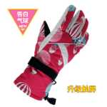 여성용 터치 스크린 스키 장갑의 그림