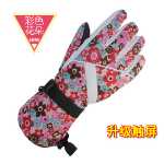 여성용 터치 스크린 스키 장갑의 그림