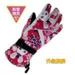 여성용 터치 스크린 스키 장갑의 그림