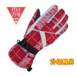 여성용 터치 스크린 스키 장갑의 그림