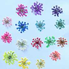 휴대 전화 케이스 장식품의 그림