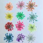 휴대 전화 케이스 장식품의 그림