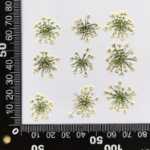 휴대 전화 케이스 장식품의 그림