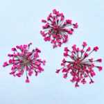 휴대 전화 케이스 장식품의 그림