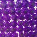 휴대 전화 케이스 장식품의 그림