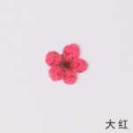 물방울 네일 드라이 플라워 엠보싱 악세서리의 그림