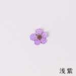 물방울 네일 드라이 플라워 엠보싱 악세서리의 그림