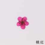 물방울 네일 드라이 플라워 엠보싱 악세서리의 그림