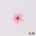 물방울 네일 드라이 플라워 엠보싱 악세서리의 그림