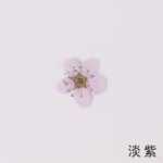 물방울 네일 드라이 플라워 엠보싱 악세서리의 그림