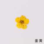 물방울 네일 드라이 플라워 엠보싱 악세서리의 그림