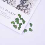 물방울 네일 드라이 플라워 엠보싱 악세서리의 그림