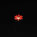 합금 액세서리의 그림