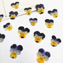 책갈피 인사말 카드의 그림