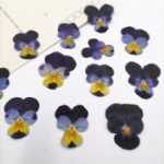 책갈피 인사말 카드의 그림