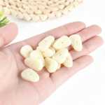 마늘 슬라이스 모델  / 마늘 음식 놀이 소품의 그림