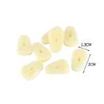 마늘 슬라이스 모델  / 마늘 음식 놀이 소품의 그림