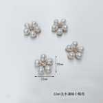 운동화 장식 / 휴대 전화 케이스 장식의 그림