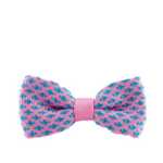 남성용 나비 넥타이의 그림