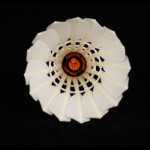 배드민턴 12pcs 거위 깃털 공의 그림