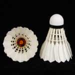 배드민턴 12pcs 거위 깃털 공의 그림