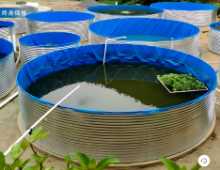 fishpond/가격협의의 그림