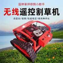 원격 제어 잔디 깎는 기계의 그림