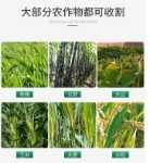 4스트로크 백팩 다목적 모어 / 가격협의의 그림