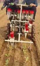 양파 재배자 야채 모종 고추 이식기 / 가격협의의 그림