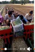 양파 심는 기계의 그림