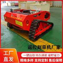 원격 제어 잔디 깎는 기계의 그림