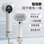 지능형 반려동물 헤어 드라이어 올인원 드라이기 & 빗의 그림