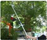 대형 텔레스코픽 하이 전정 가위의 그림